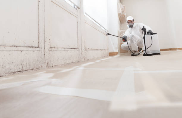 24/7 Emergency Mold Remediation experts in Redmond, WA