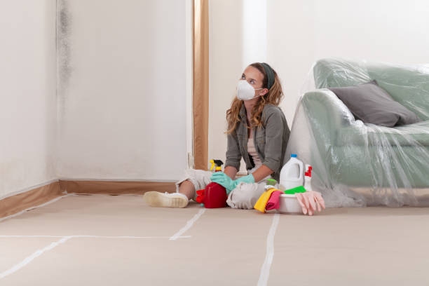 Reliable Mold Remediation contractor in Redmond, WA by Car Mold Remediation